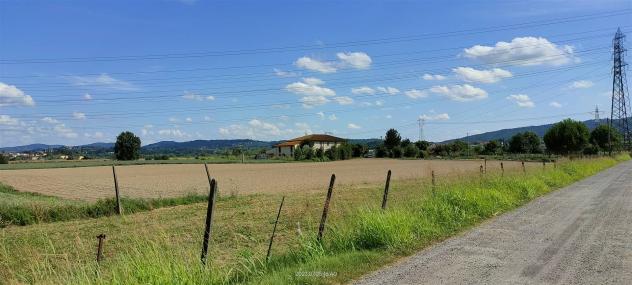 Colonica in Vendita in zona SANT'ANGELO A LECORE con giardino - Foto 4