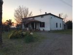Colonica in vendita a Ribolla - Roccastrada 230 mq  Rif: 1297041