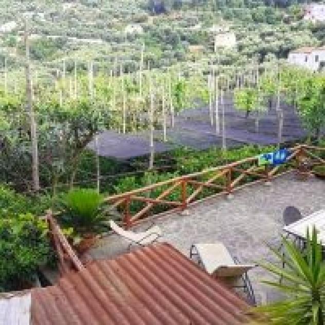 La Lobra S.r.l. Societa' Agricola - Foto 3