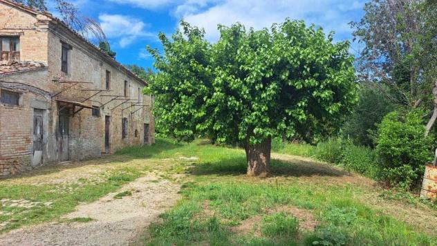 Casale in vendita a Pesaro - Foto 6