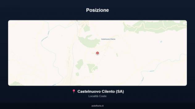 Immobile in asta di 558 m² in vendita a Castelnuovo Cilento - Foto 15