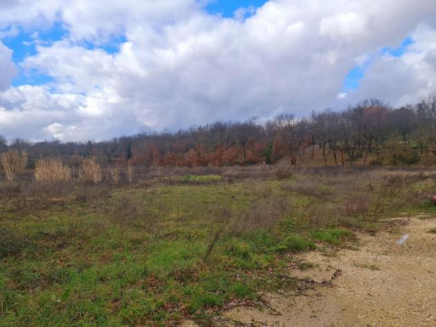 Terreno edif. residenziale in vendita a Colle di Val d'Elsa 855 mq Rif: 952105 - Foto 3