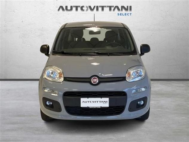 FIAT Panda 1.0 FireFly Hybrid 70cv City Life S&S rif. 23978876 - Foto 2