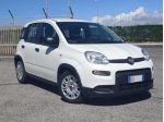 FIAT Panda 1.0 FireFly S&S Hybrid rif. 24088563