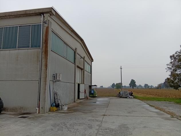 Laboratorio in vendita a Sabbioneta