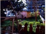 Appartamento mq 120 con giardino LT.Scalo