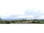 AZIENDA AGRICOLA di 11 vani e di 570 mq (MAGLIANO IN TOSCANA) rif. 2463.161M