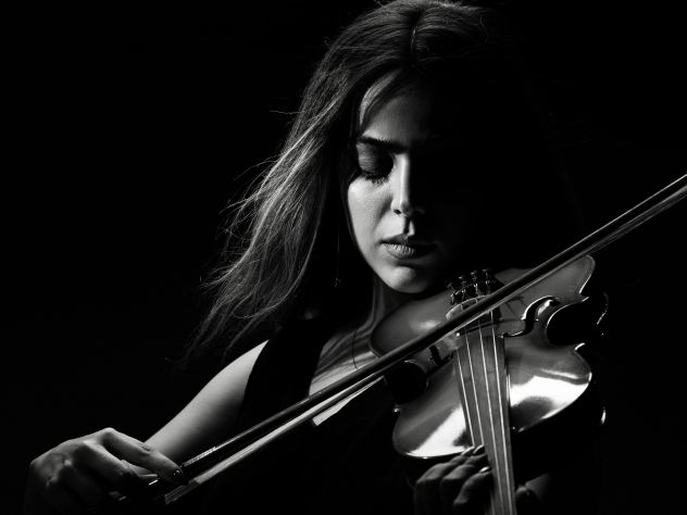 Violinista Manerbio