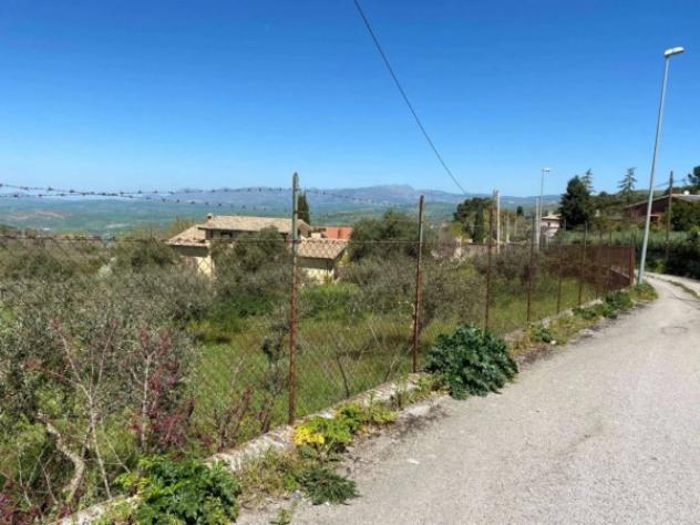 Immobile in asta di 2217 m² in vendita a Corleone - Foto 10