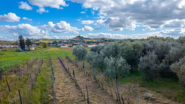 Terreno agricolo in vendita a San Miniato 10790 mq Rif: 1400261 - Foto 4