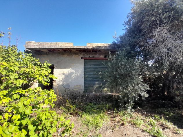 10 V041 Podere con rudere vista mare - Un'Occasione Imperdibile!