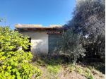10 V041 Podere con rudere vista mare - Un'Occasione Imperdibile!