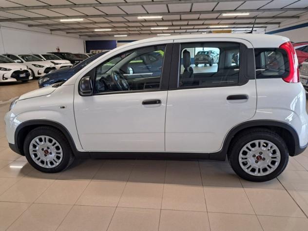 FIAT Panda III 2021 1.0 firefly hybrid s&s 70cv - Foto 7