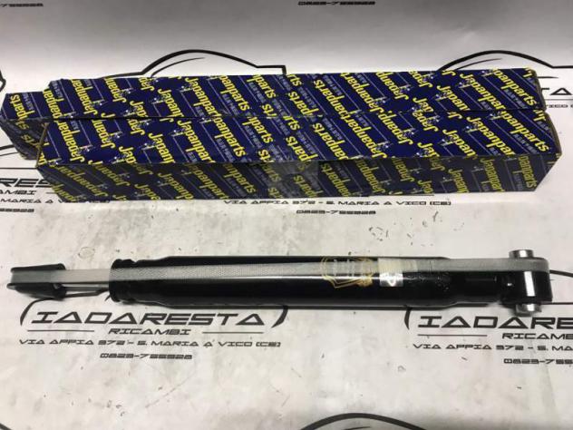 Coppia ammortizzatori Posteriori Citroen C4 307 308 5206CH