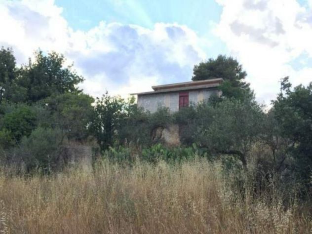 Terreno con Casa - Belmonte Mezzagno PA - Foto 3