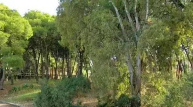 Immobile in asta di 2544 m² in vendita a Taranto - Foto 4