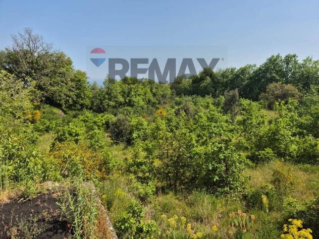 Terreno in vendita a Zafferana Etnea - Foto 3