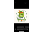 Servizio spesa a domicilio