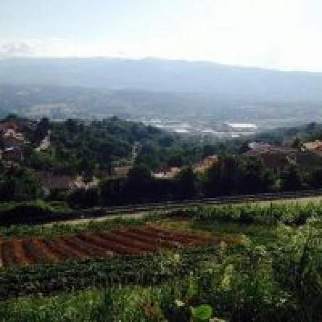 Agriturismo Mancaro - Foto 4
