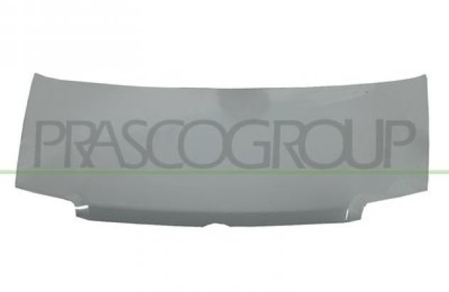 COFANO FT1223100 Metallo FIAT - PANDA - Mod. 09/03 - 12/11, FIAT - PANDA CLIMBING 4X