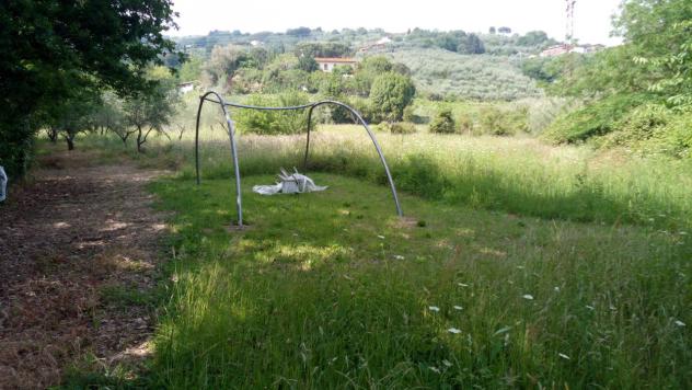 Agricolo in vendita a Buggiano - Foto 2