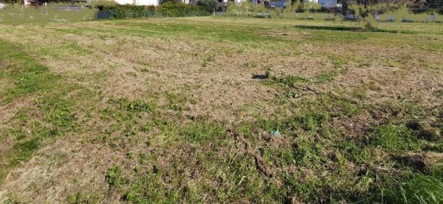 Terreno edif. residenziale in vendita a San Giuliano Terme 2000 mq Rif: 1400511