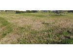 Terreno edif. residenziale in vendita a San Giuliano Terme 2000 mq  Rif: 1400511
