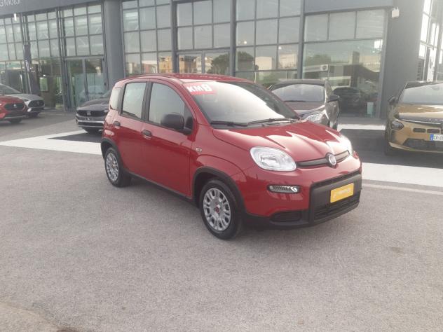 FIAT Panda 1.0 FireFly S&S Hybrid - Foto 8