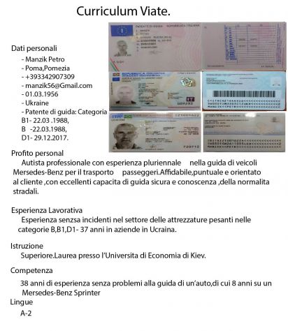 Autista professionale con esperienza pluriennale cerco lavoro come autista.