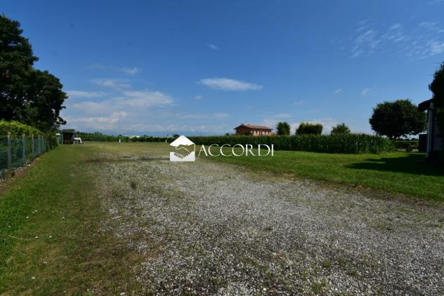 AREA EDIFICABILE di 4589 mq (CIMADOLMO) rif. SM29_1 - Foto 7