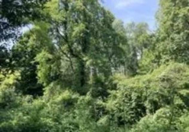 Immobile in asta di 10270 m² in vendita a Palazzolo dello Stella - Foto 5