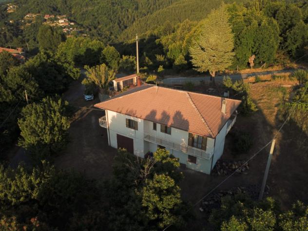 casa indipendente in vendita a Luzzi
