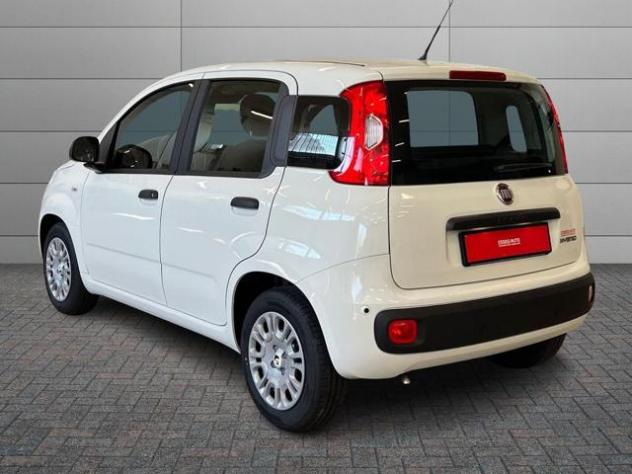 FIAT Pandina Pandina Pop rif. 23484115 - Foto 5