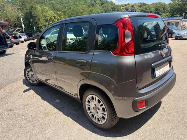 FIAT Panda 1.2 EasyPower Easy rif. 23883199 - Foto 9