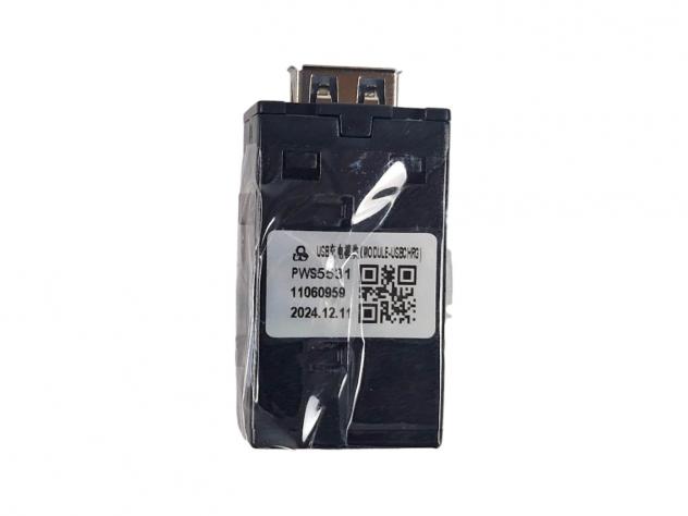 INTERFACCIA PRESA USB/INGRESSO AUX MG MG3 Serie 11060959 (24)