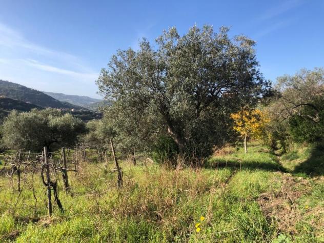 Agricolo in Destre - Foto 6