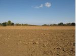 Agricolo in vendita a Falconara Marittima