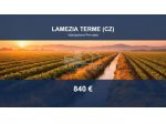 Immobile in asta di 1745 m² in vendita a Lamezia Terme