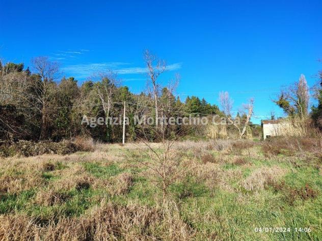 CASA COLONICA CON RICOVERO ATTREZZI, SILOS, TERRENO AGRICOLO E BOSCO - Foto 9