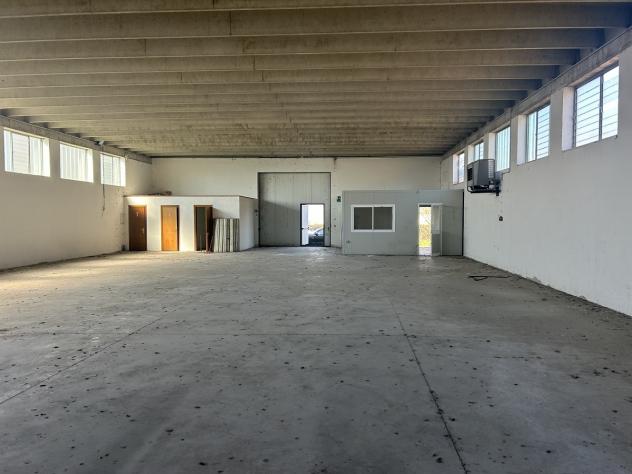 Industriale/Artigianale in affitto a Bovolone - Foto 8