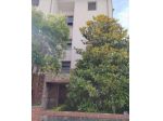 Appartamento in vendita a Pisa 70 mq  Rif: 1420353