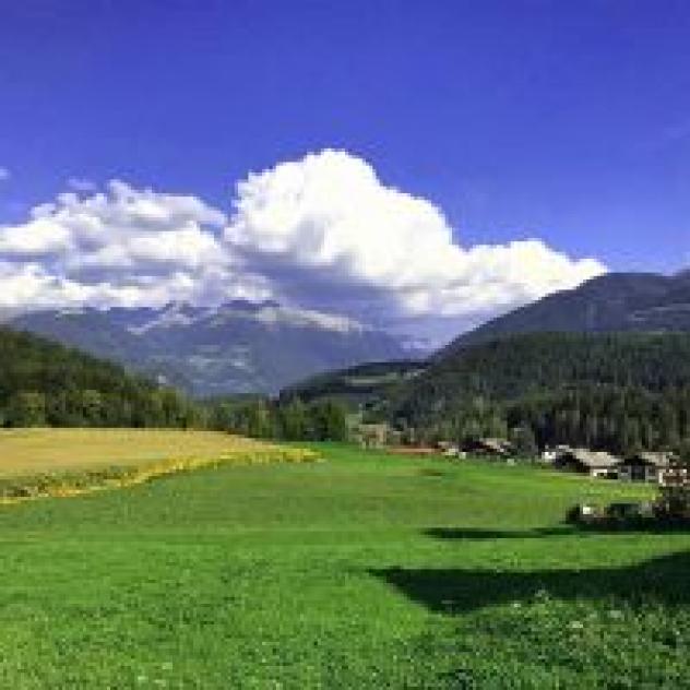 Ebner Gottfried - Foto 4