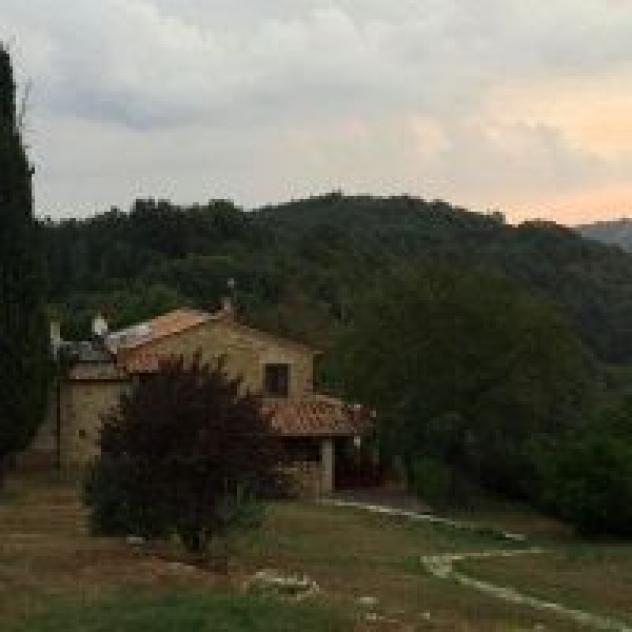 Il Fantone Societa' Agricola a Responsabilita' Limitata - Foto 4