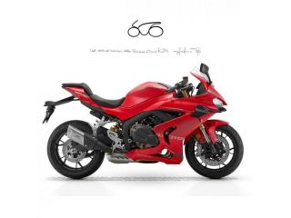 QJ MOTOR SRK 800RR . rif. 23170846