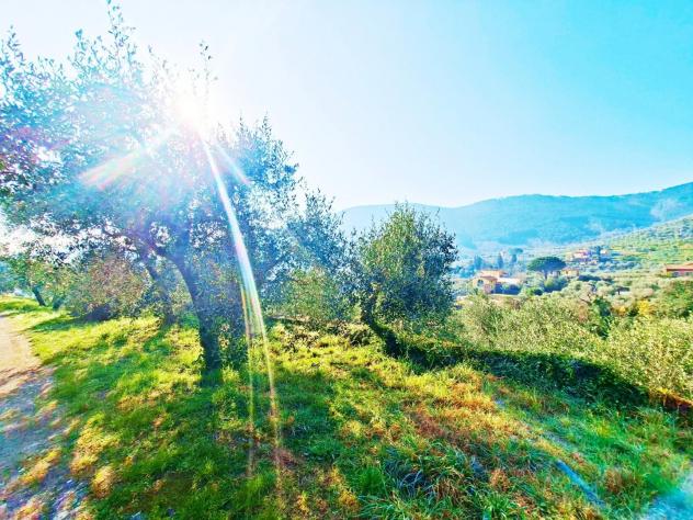 Terreno edif. residenziale in vendita a Buti 5300 mq Rif: 1411798 - Foto 10