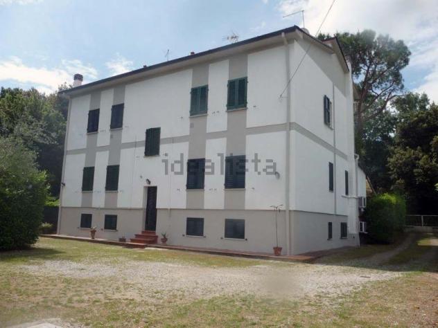 Porzione di casa in vendita a Ronchi - Massa 65 mq Rif: 1252117 - Foto 6