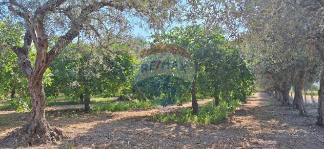 Villa o villino in vendita a Rosolini - Foto 12