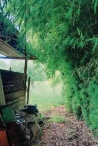 Immobile in asta di 400 m² con più di 5 locali in vendita a Serravalle Sesia - Foto 3