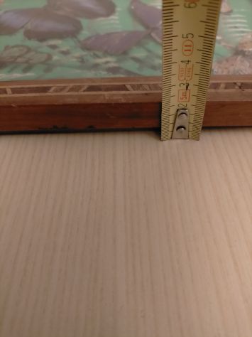 Vassoio in legno con interno farfalle vere - Foto 4
