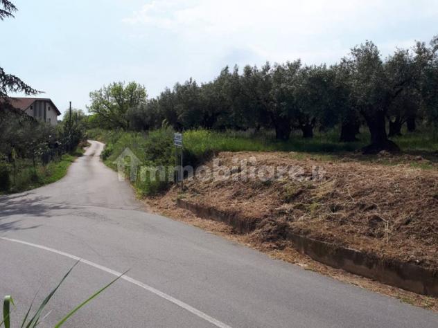 Feroleto Antico vendesi terreno residenziale 1000 Mq - Foto 9